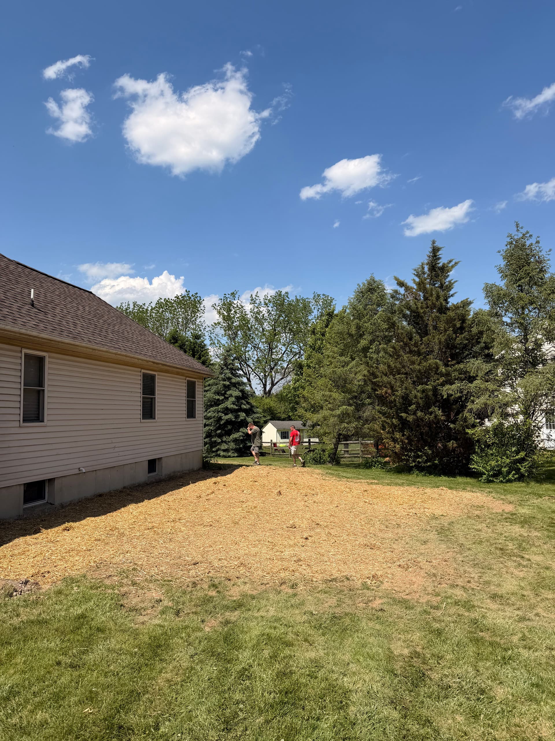 Gallery photos for Shrub Removal, Regrading, and Lawn Restoration in Bethlehem PA: Image #4