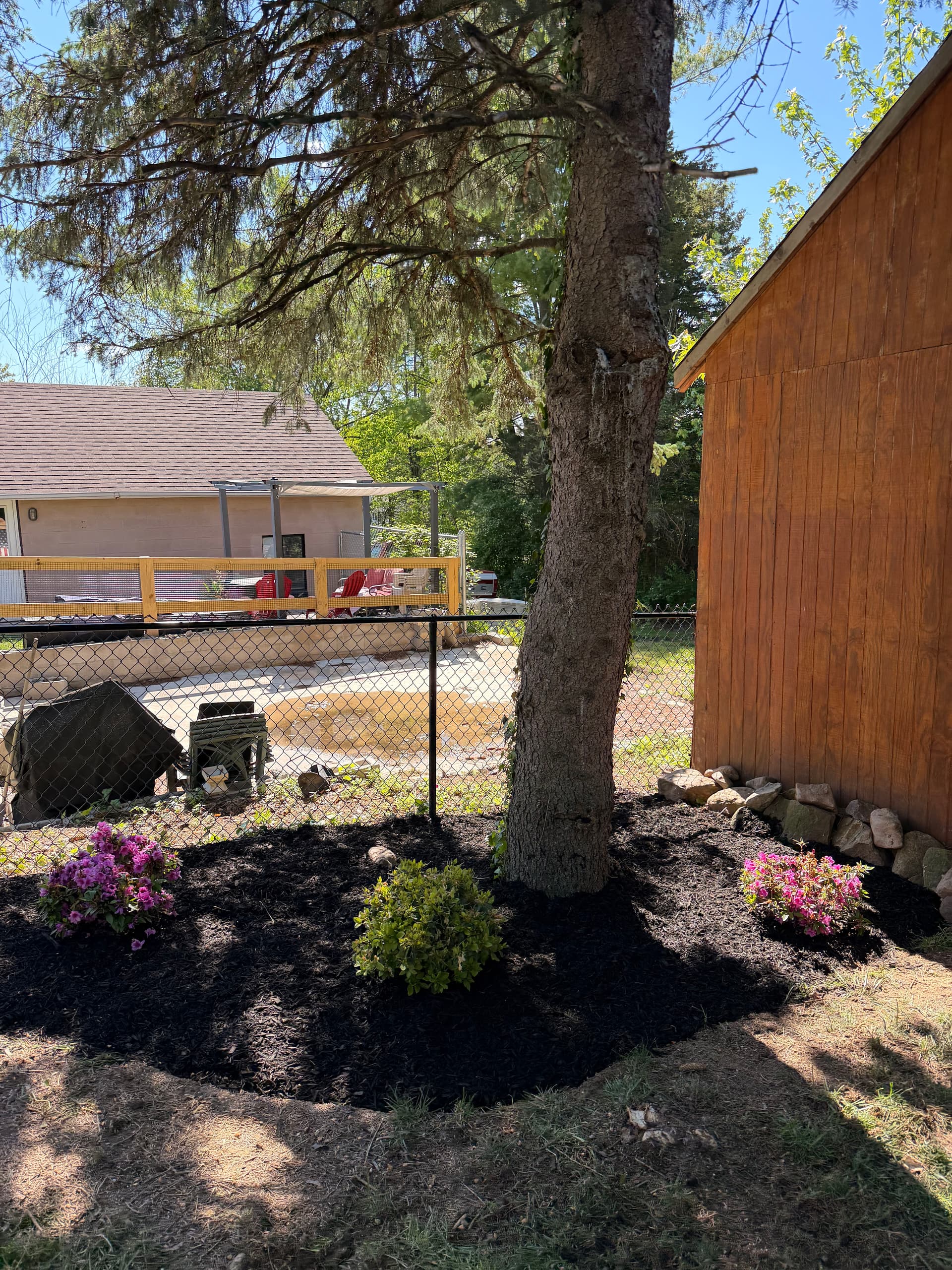 Gallery photos for Green Giant Privacy Screen and Fresh Mulch Beds in Allentown: Image #1