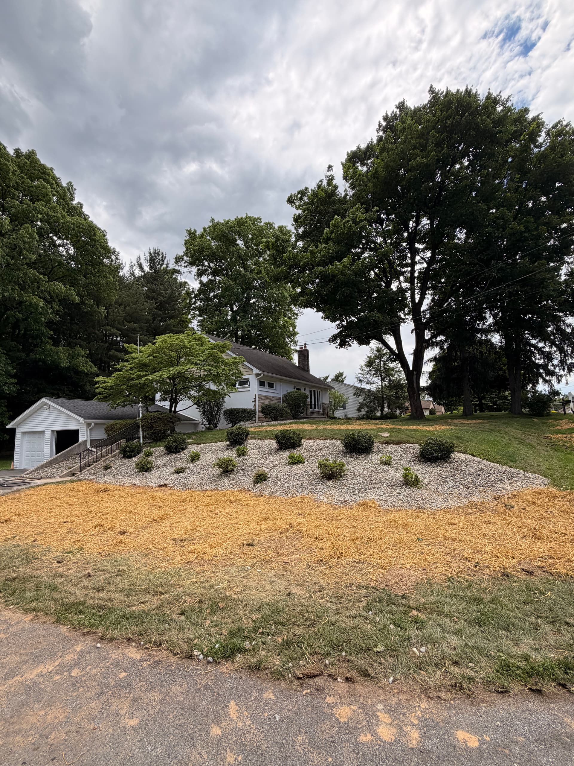Overgrown Hillside Beds Cleared and Reset with Low-Maintenance Softscaping image