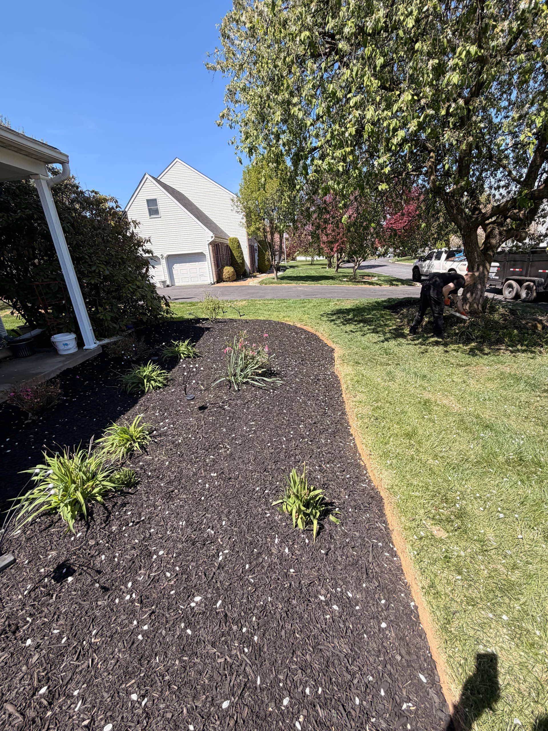 Gallery photos for Front Bed Refresh and Pool Border Landscaping in Bethlehem: Image #1