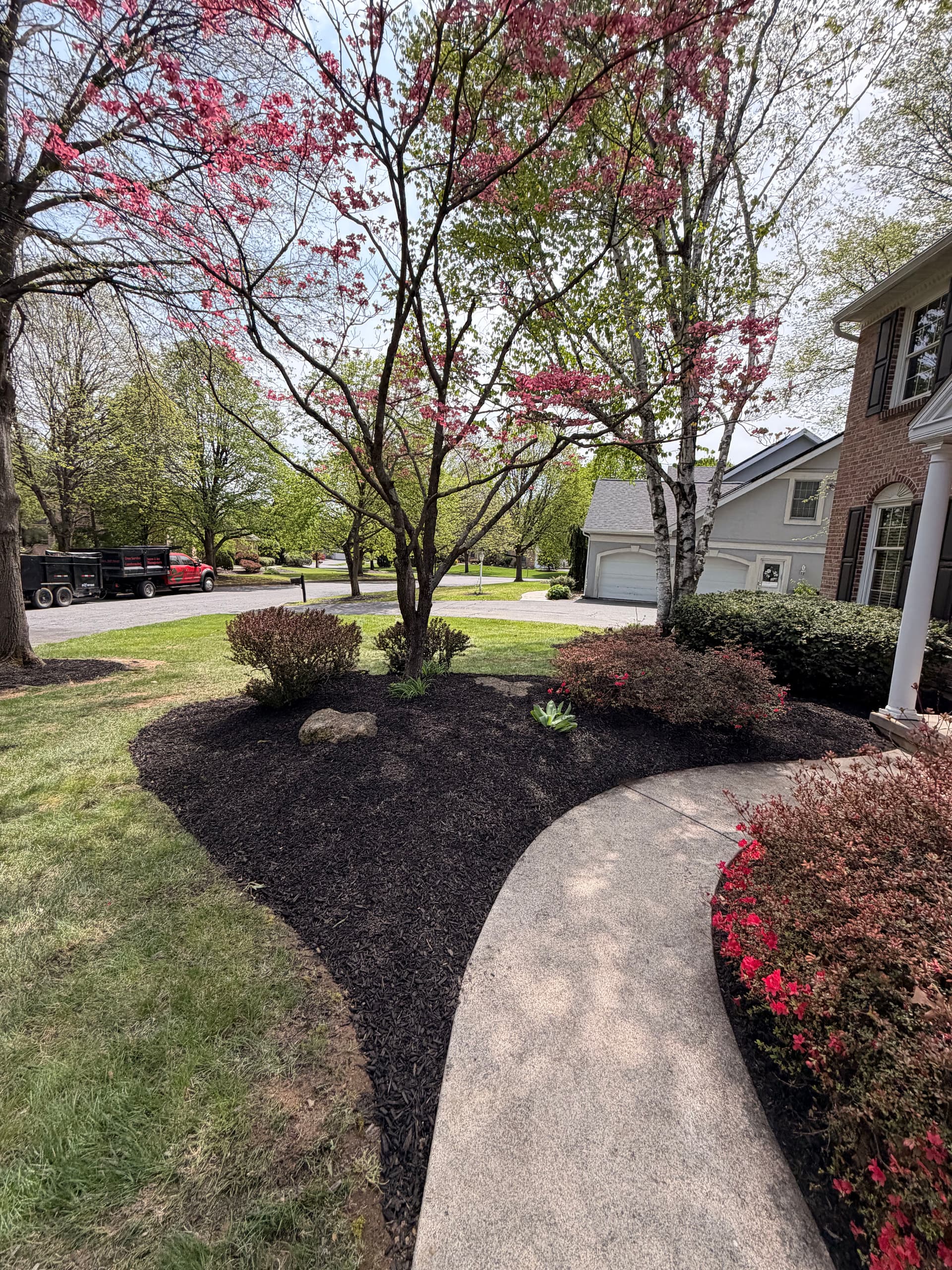 Gallery photos for Shrub Trimming and Bed Cleanup Done Right in Bethlehem: Image #3