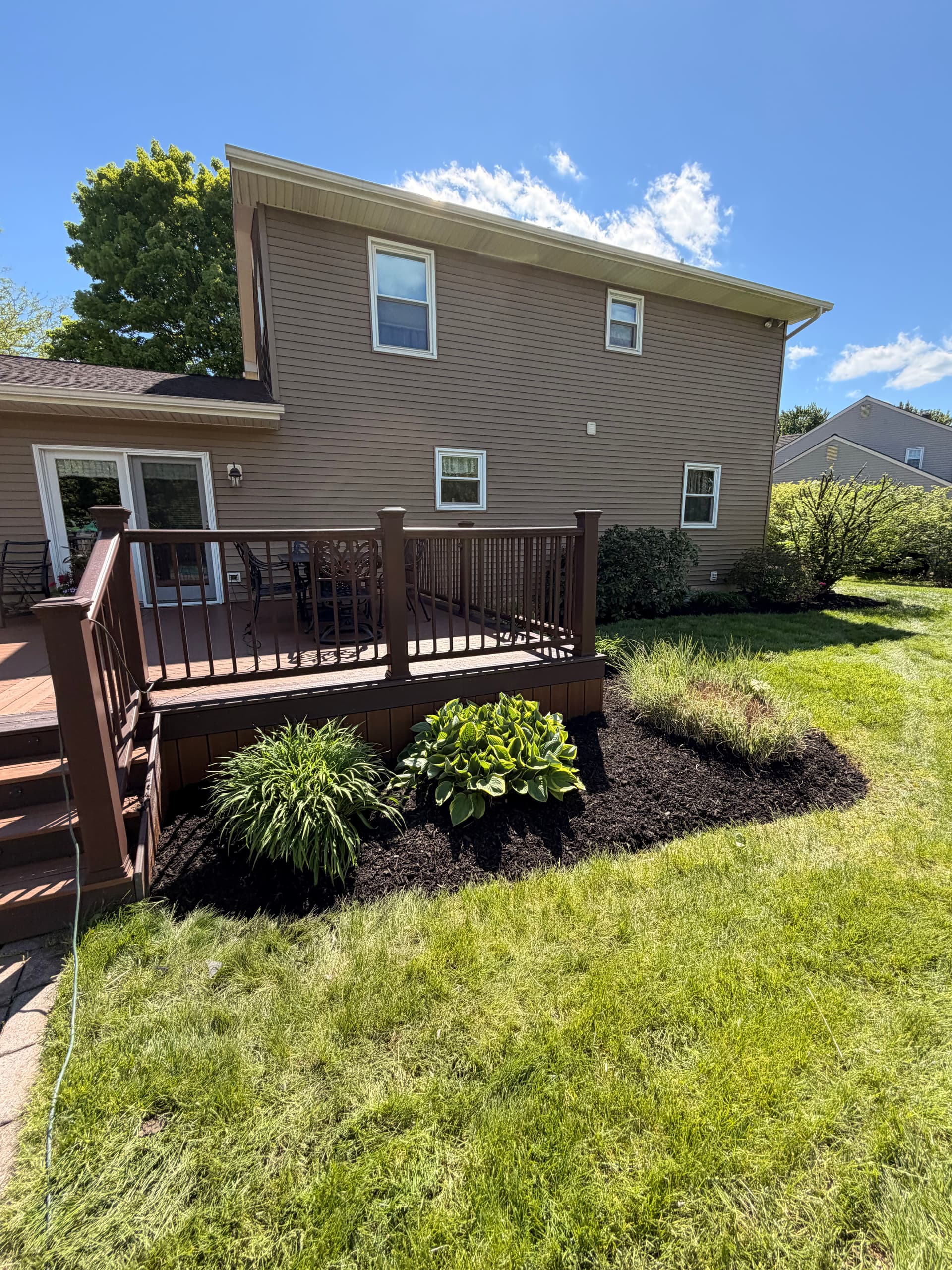 Gallery photos for Green Giant Privacy Screen and Fresh Mulch Beds in Allentown: Image #3