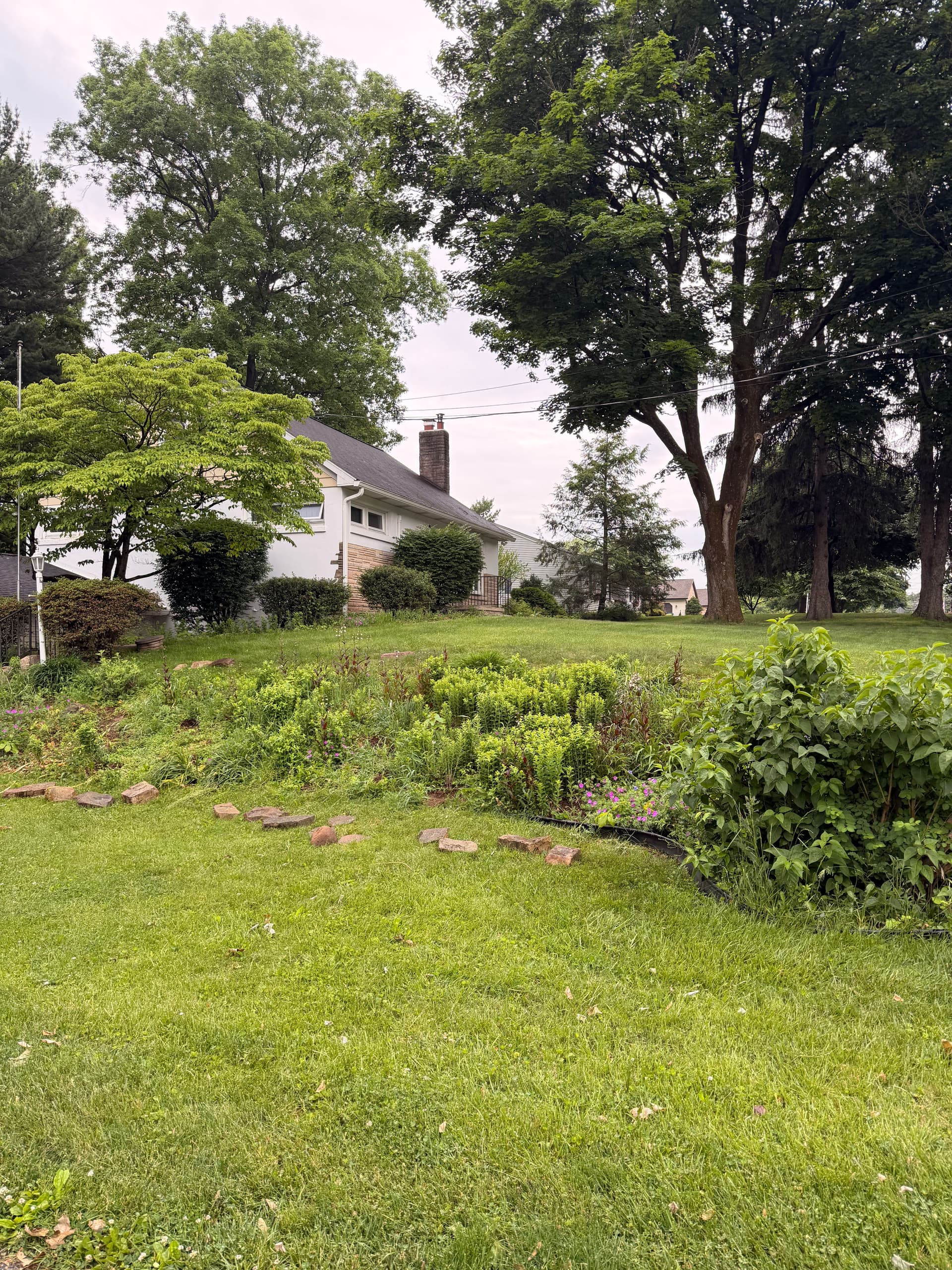 Gallery photos for Overgrown Hillside Beds Cleared and Reset with Low-Maintenance Softscaping: Image #8