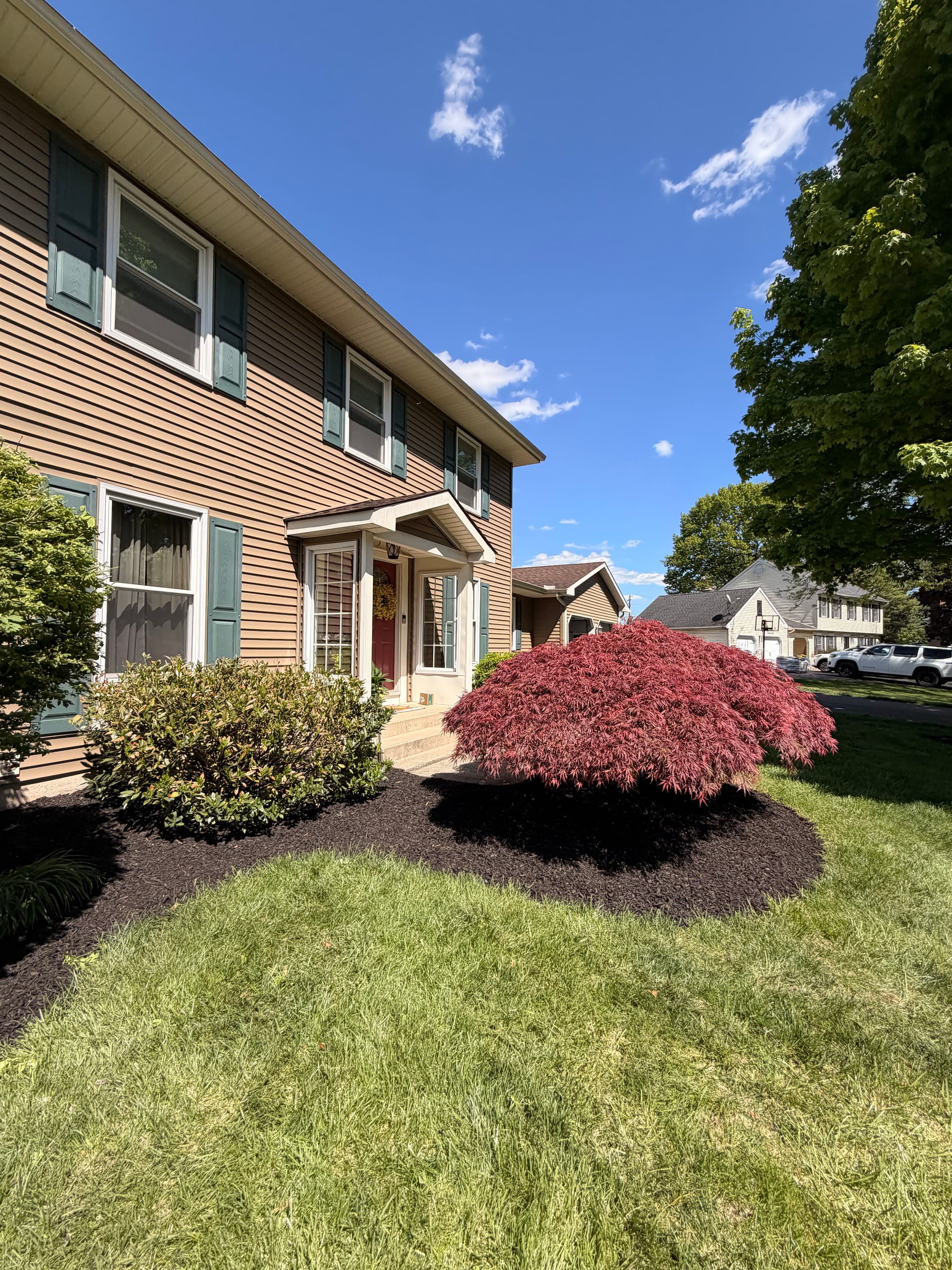 Gallery photos for Green Giant Privacy Screen and Fresh Mulch Beds in Allentown: Image #4