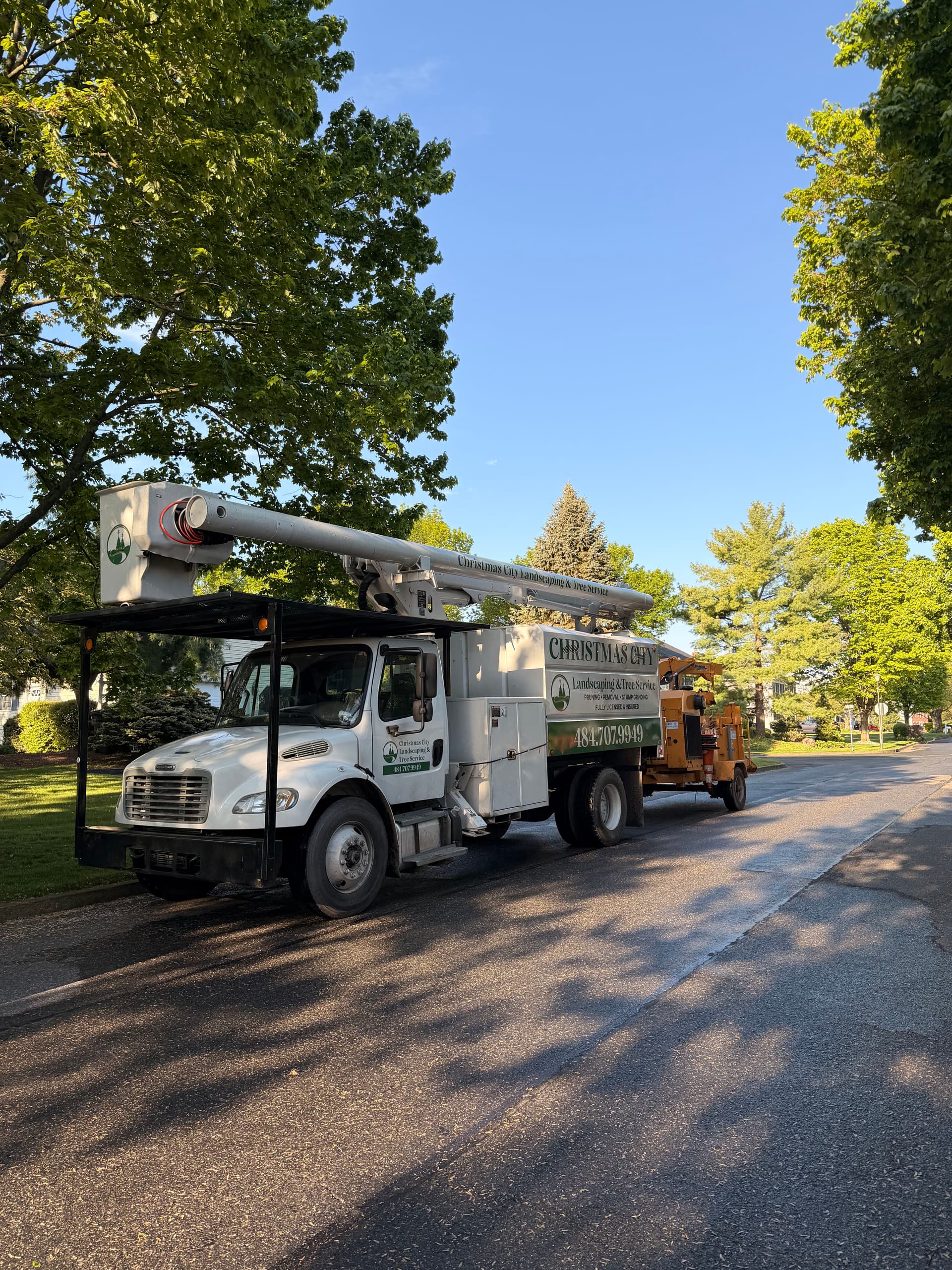 Gallery photos for Cherry Tree Crown Reduction Done Right in Bethlehem: Image #2