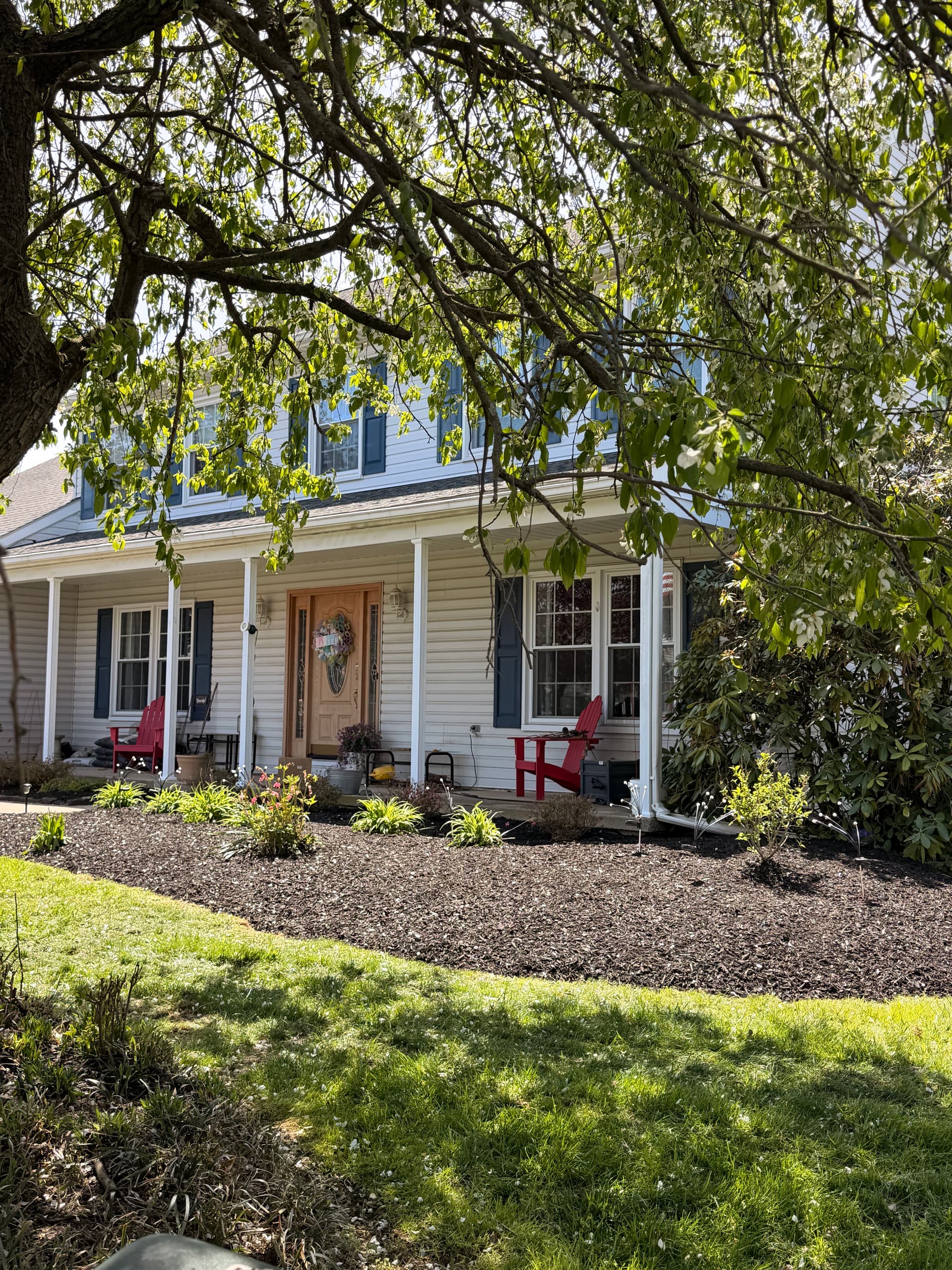 Front Bed Refresh and Pool Border Landscaping in Bethlehem image