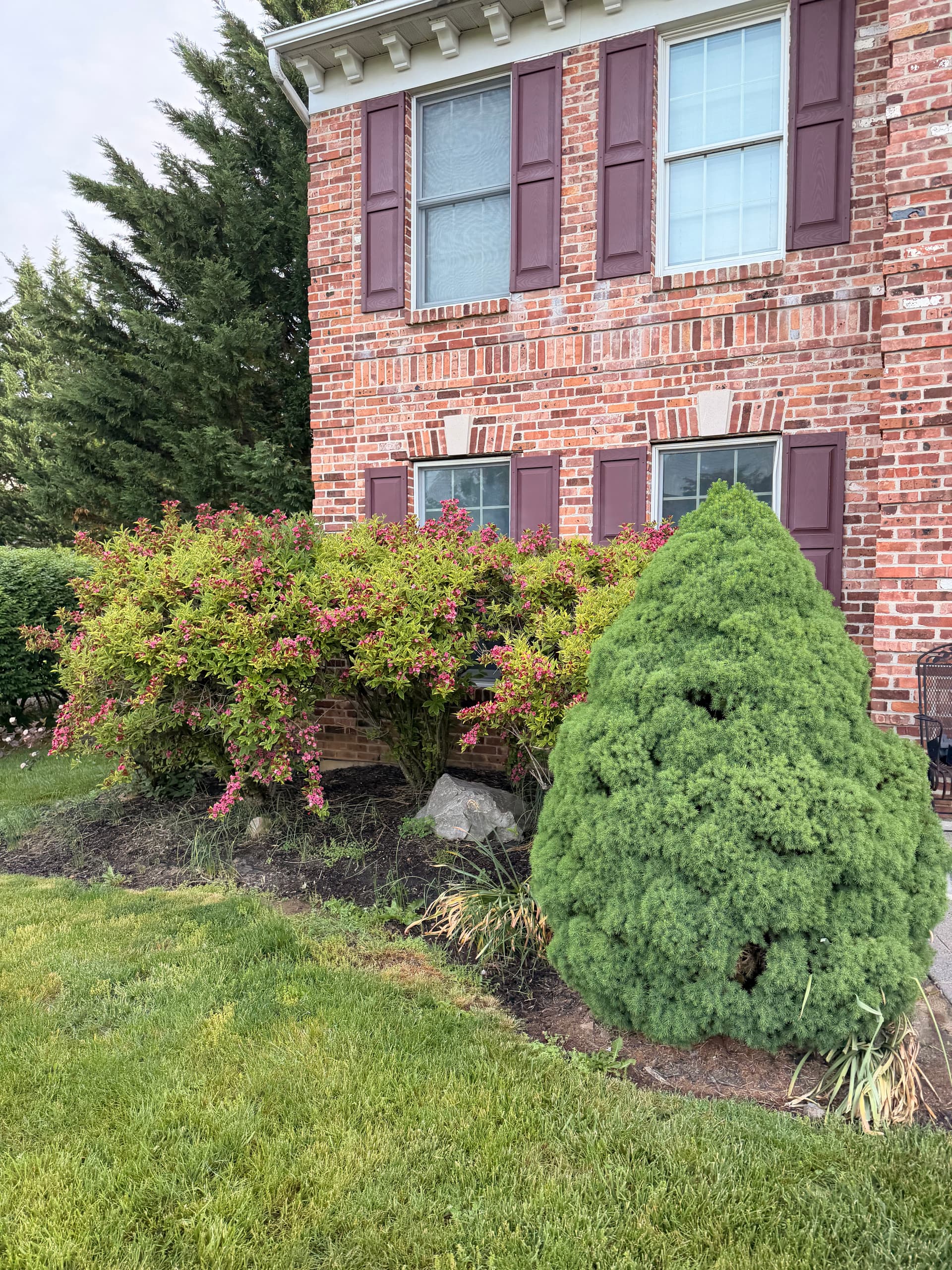 Gallery photos for Bethlehem Home Gets a Full Landscape Reset and Cleaner Curb Appeal: Image #5