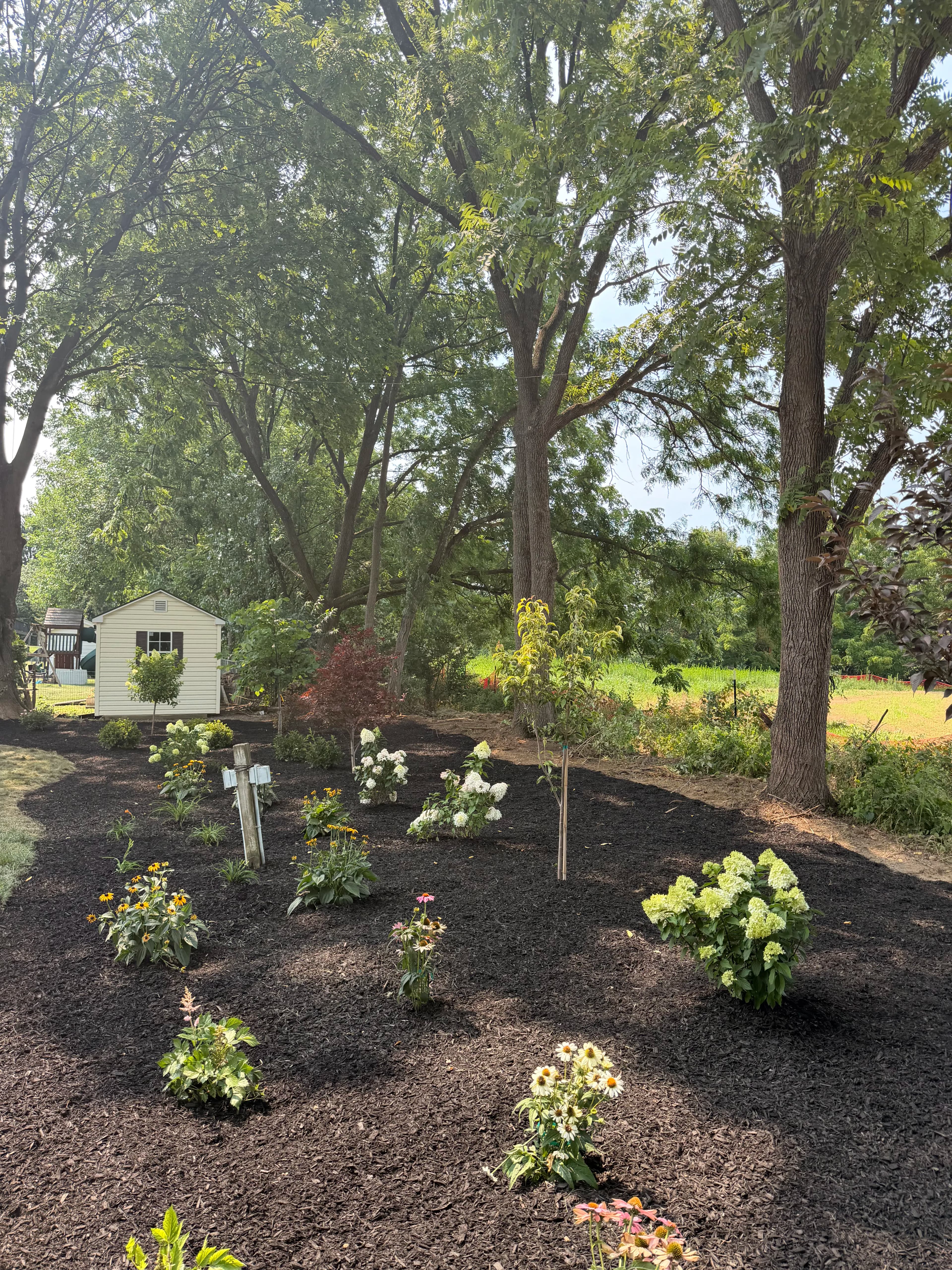 Project Overgrown Tree Line Gets a Garden Makeover in Bethlehem image