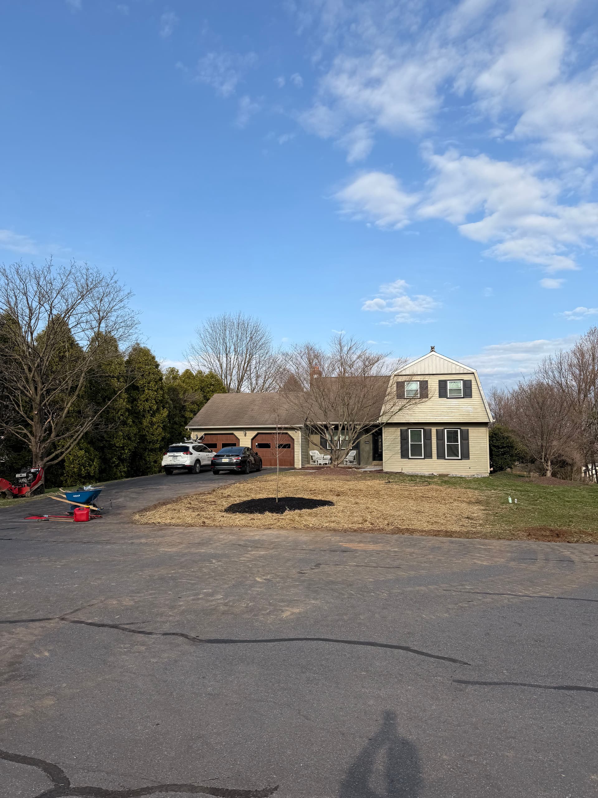 Gallery photos for Big Tree Out, Clean Slate Ready for a New Sugar Maple: Image #2