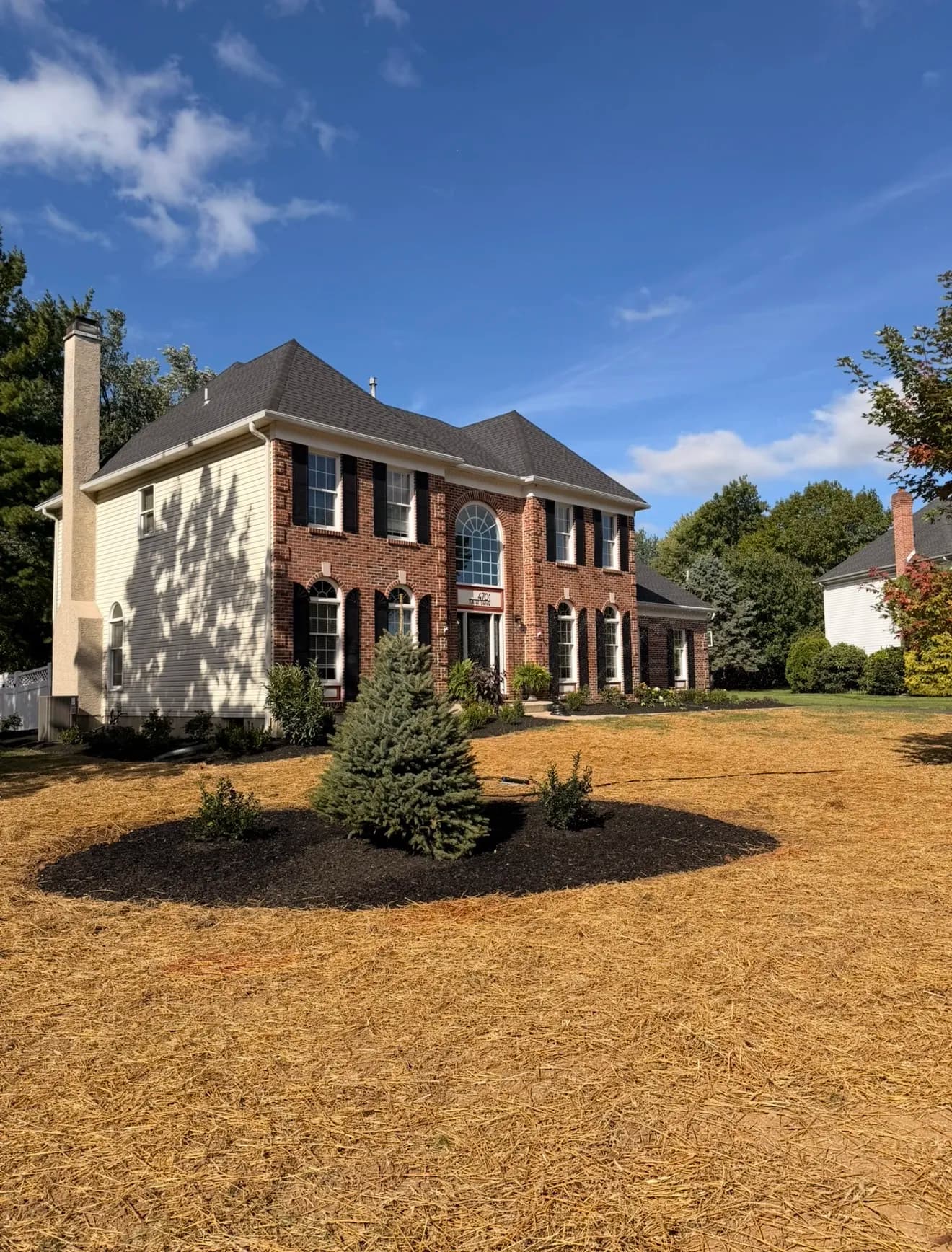 From Bare Ground to Full Lawn in 3 Weeks image