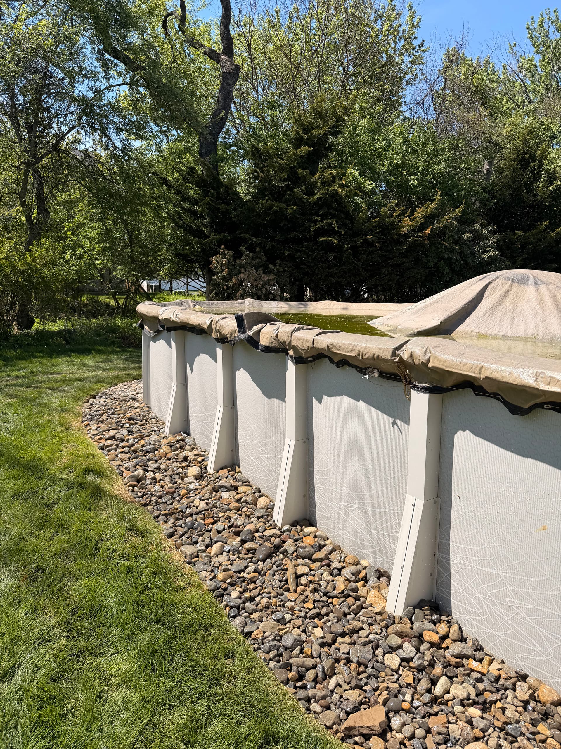 Gallery photos for Front Bed Refresh and Pool Border Landscaping in Bethlehem: Image #3