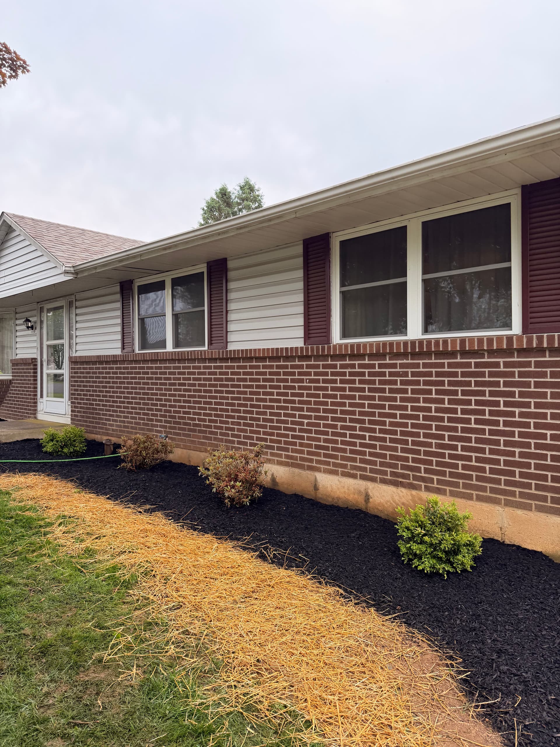 Gallery photos for Front Yard Softscape Renovation in Bethlehem PA: Image #2