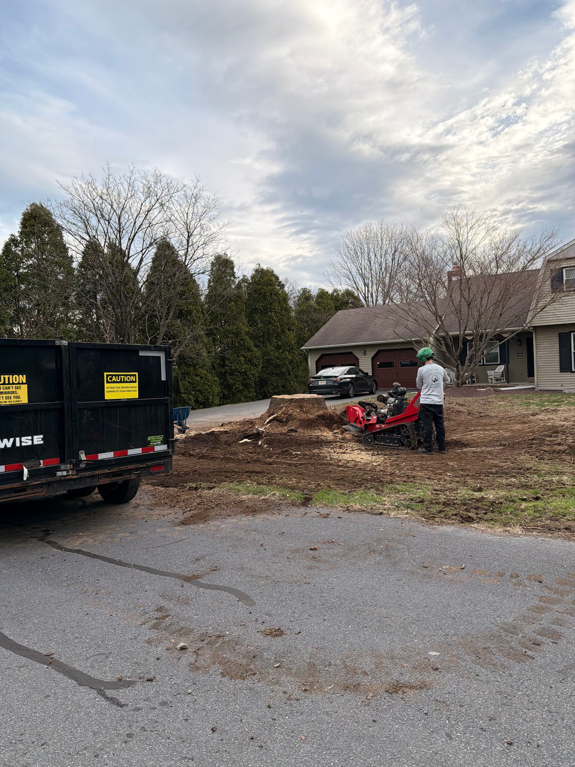 Gallery photos for Big Tree Out, Clean Slate Ready for a New Sugar Maple: Image #1