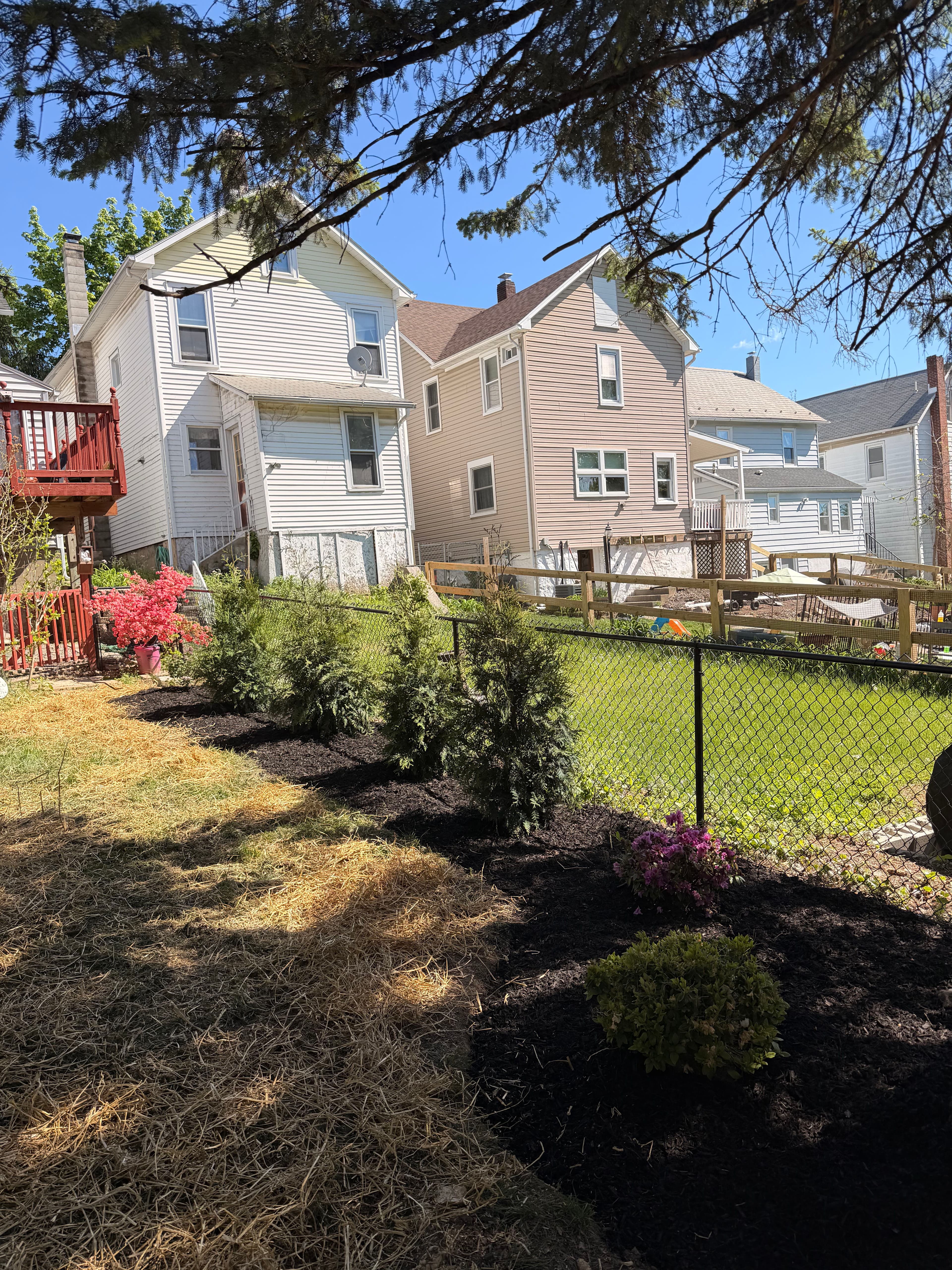 Project Green Giant Privacy Screen and Fresh Mulch Beds in Allentown image