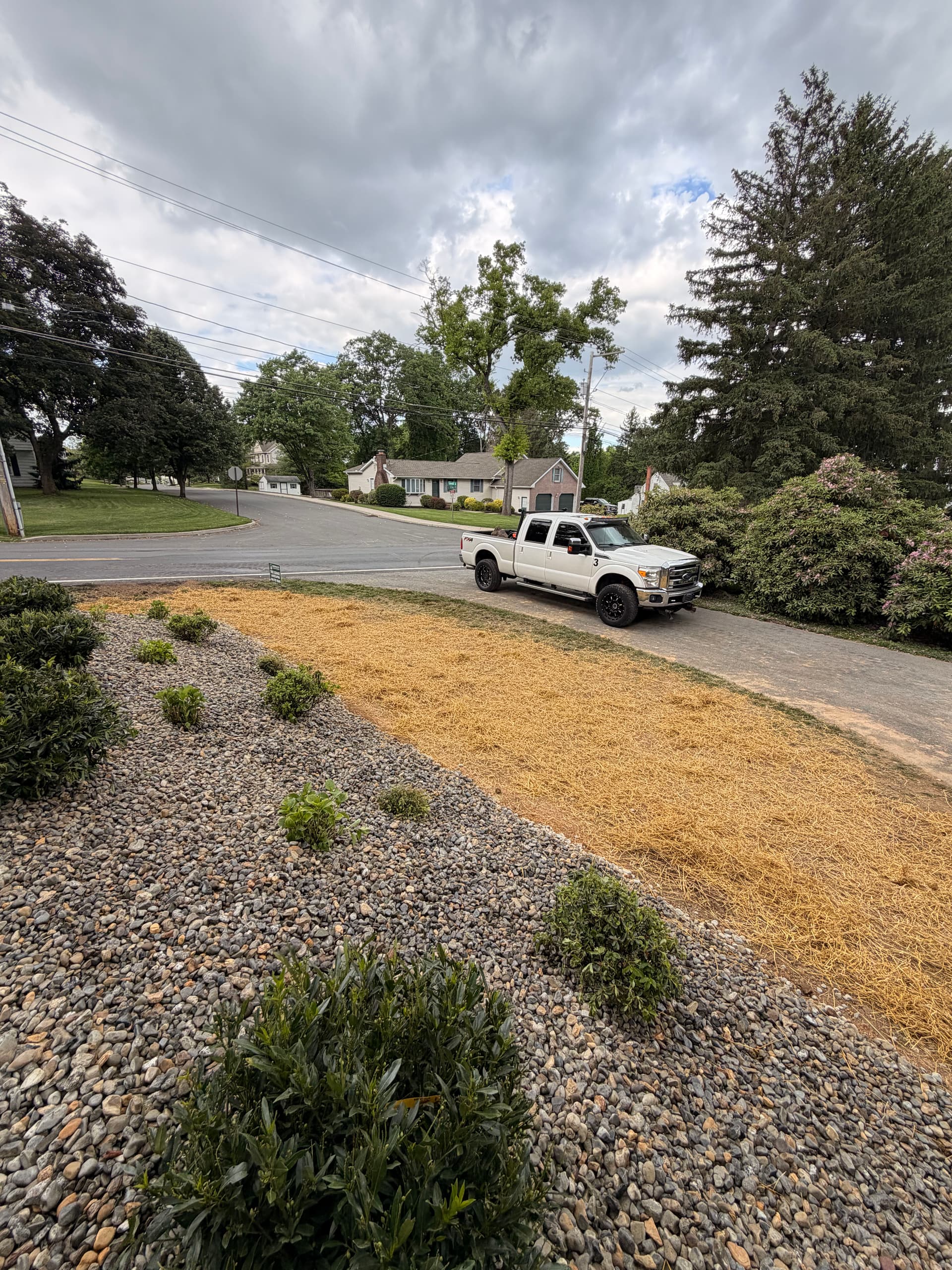 Gallery photos for Overgrown Hillside Beds Cleared and Reset with Low-Maintenance Softscaping: Image #1