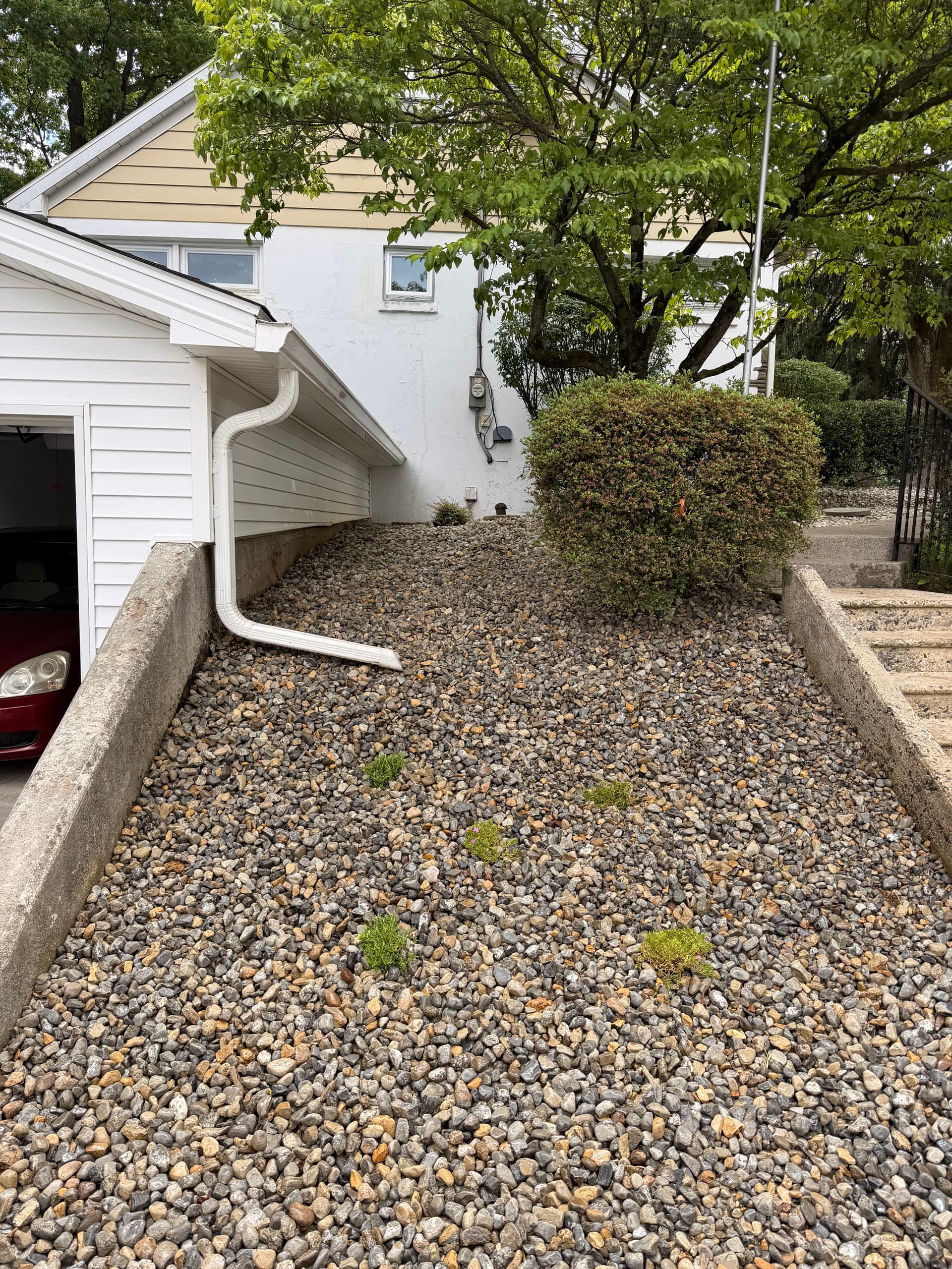 Gallery photos for Overgrown Hillside Beds Cleared and Reset with Low-Maintenance Softscaping: Image #2