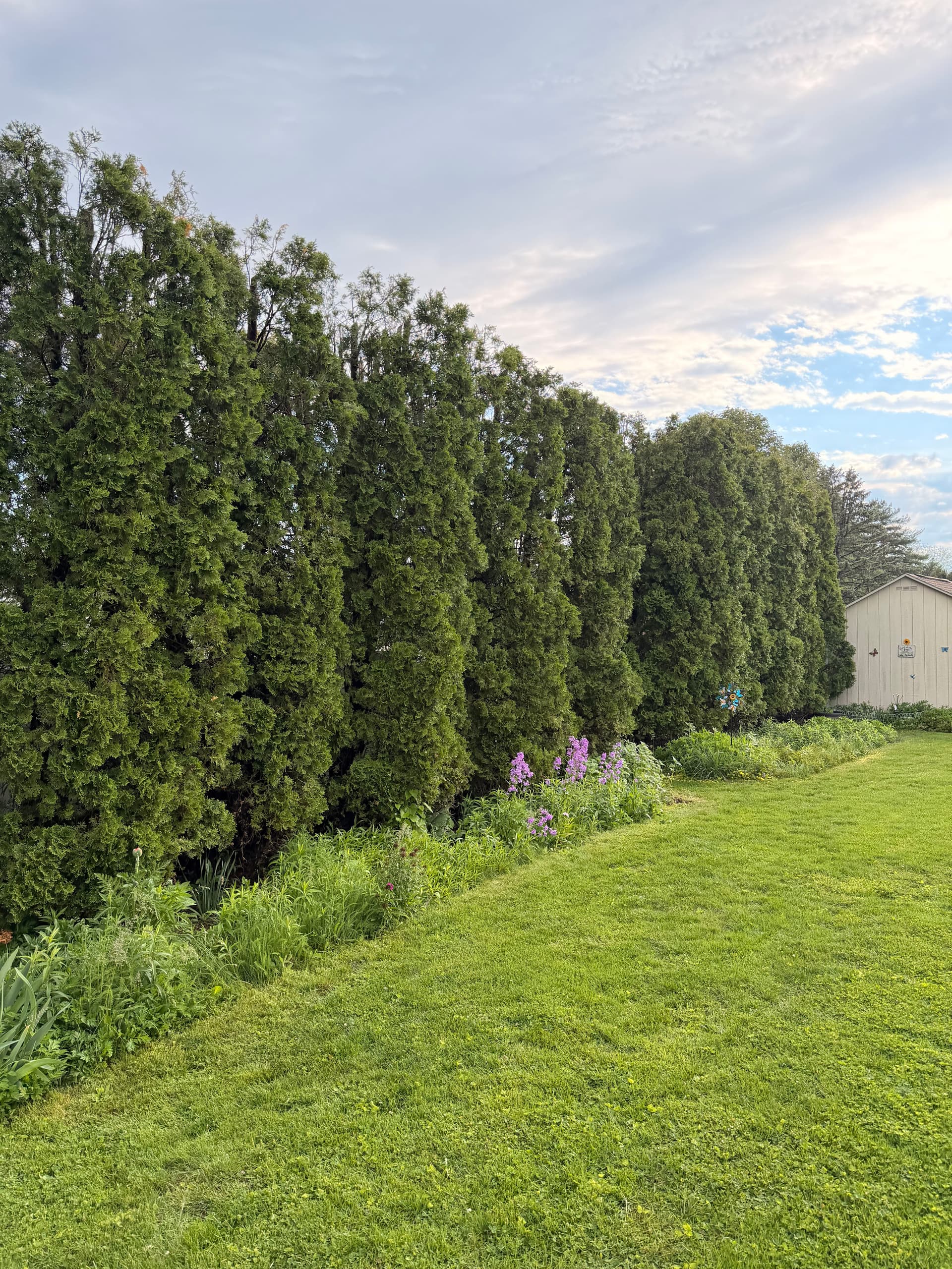 Gallery photos for Delaware River Rock and Fresh Landscape Beds in Easton: Image #4