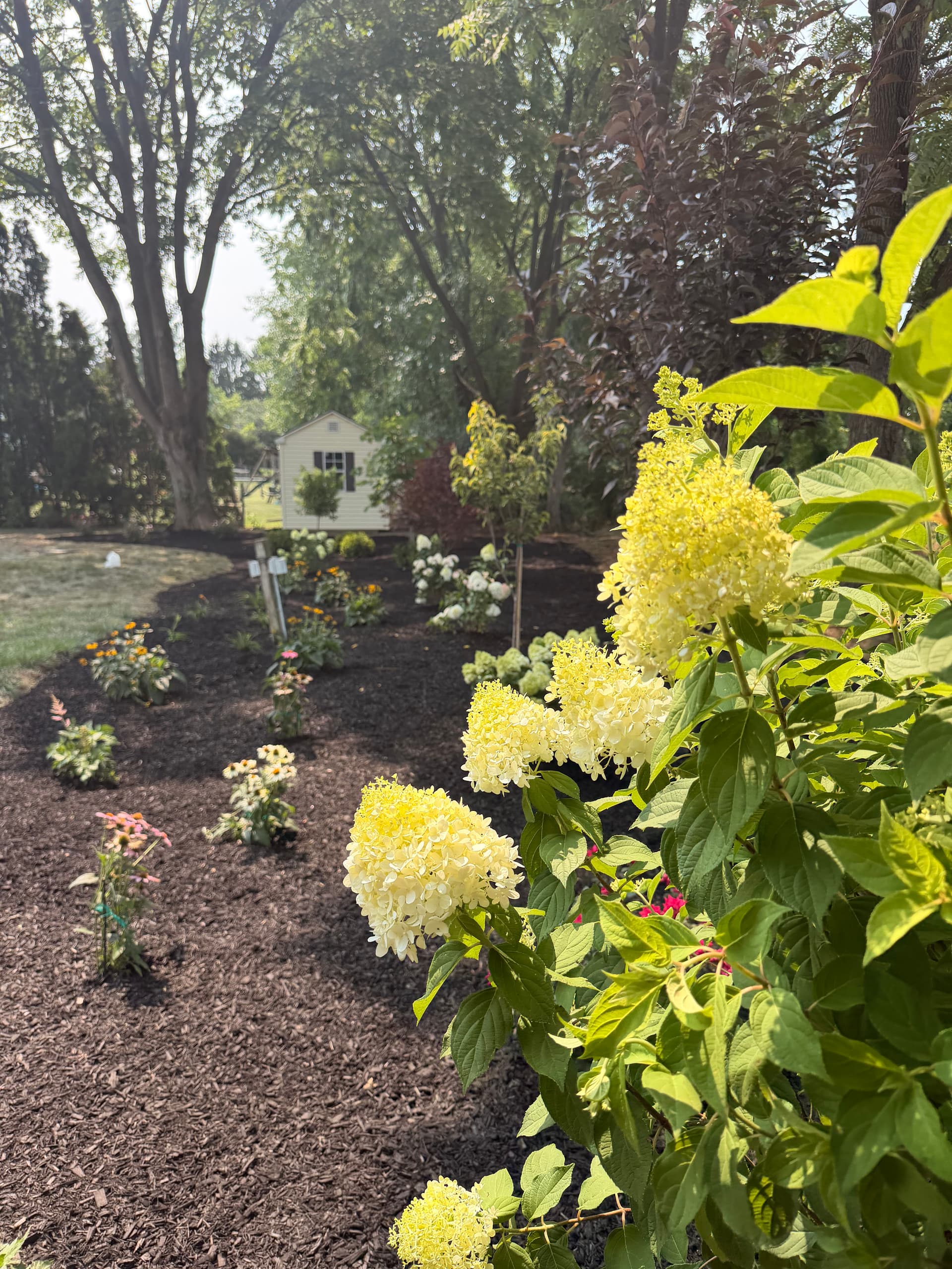 Gallery photos for Overgrown Tree Line Gets a Garden Makeover in Bethlehem: Image #2