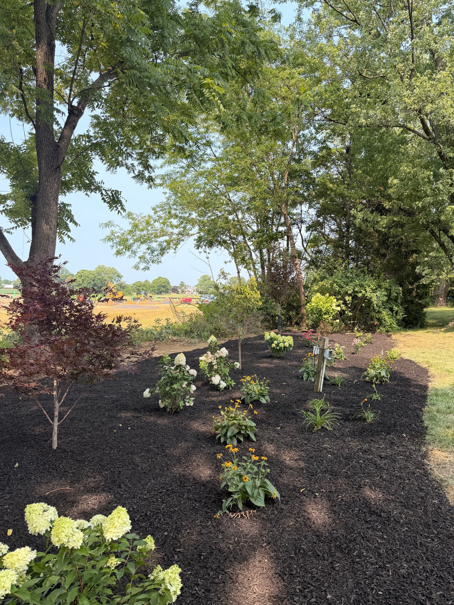 Gallery photos for Overgrown Tree Line Gets a Garden Makeover in Bethlehem: Image #3
