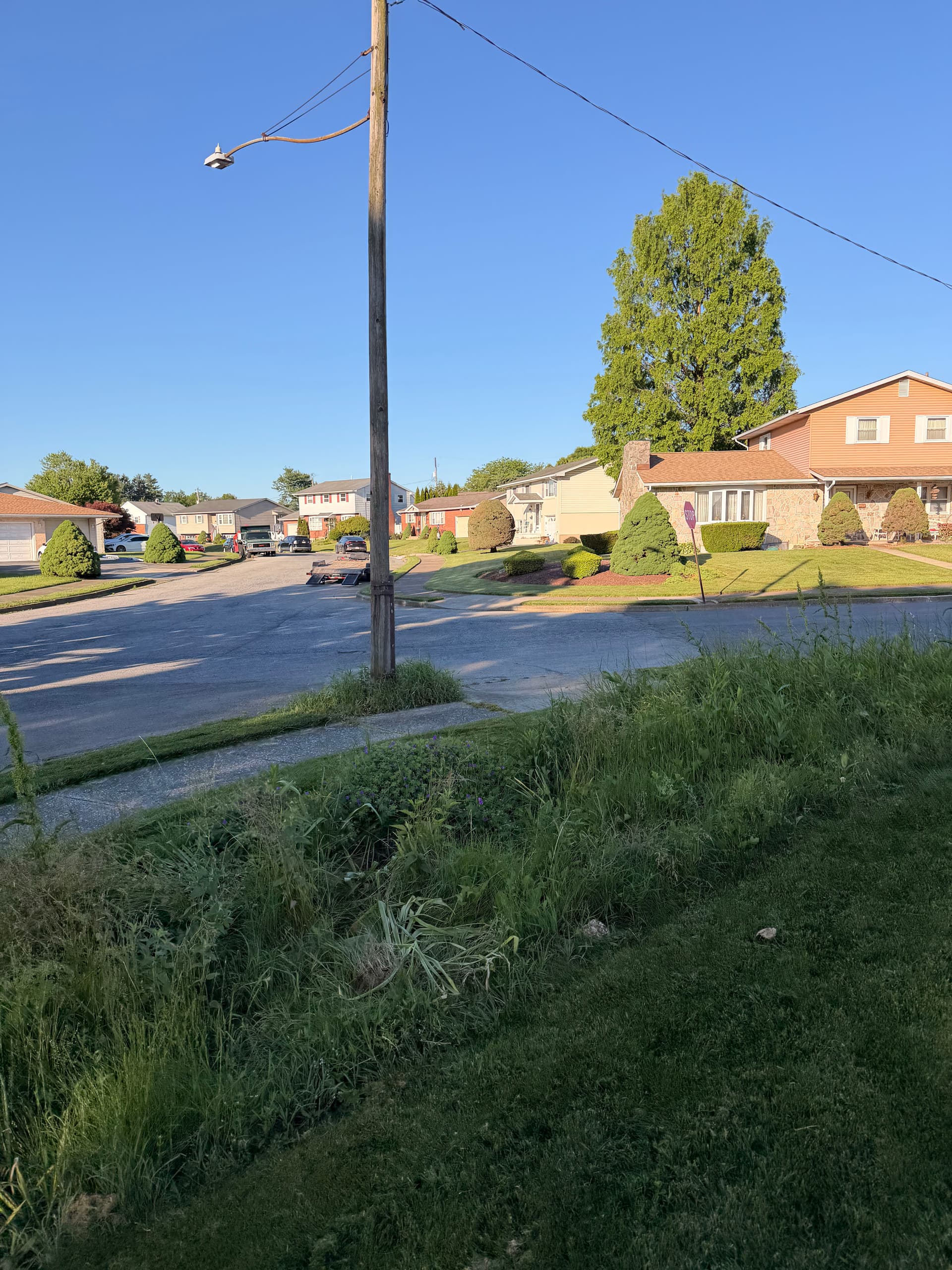 Gallery photos for Overgrown Beds Cleared and Replanted in Bethlehem PA: Image #7