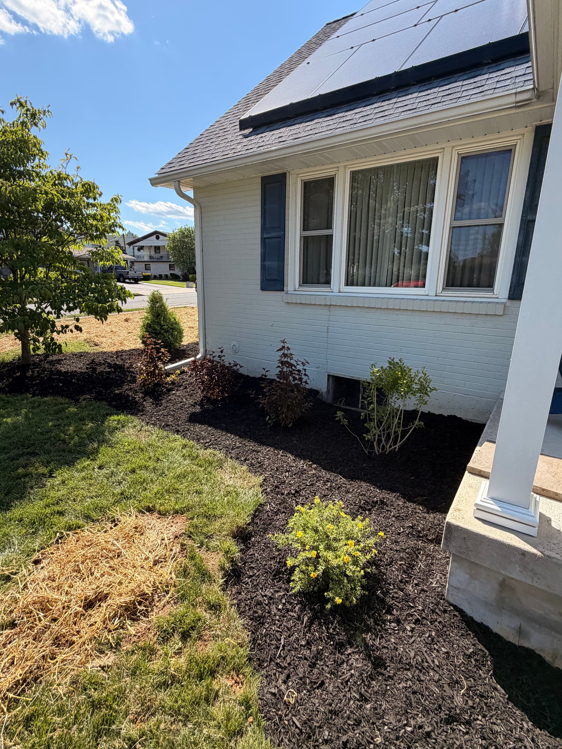 Overgrown Beds Cleared and Replanted in Bethlehem PA image