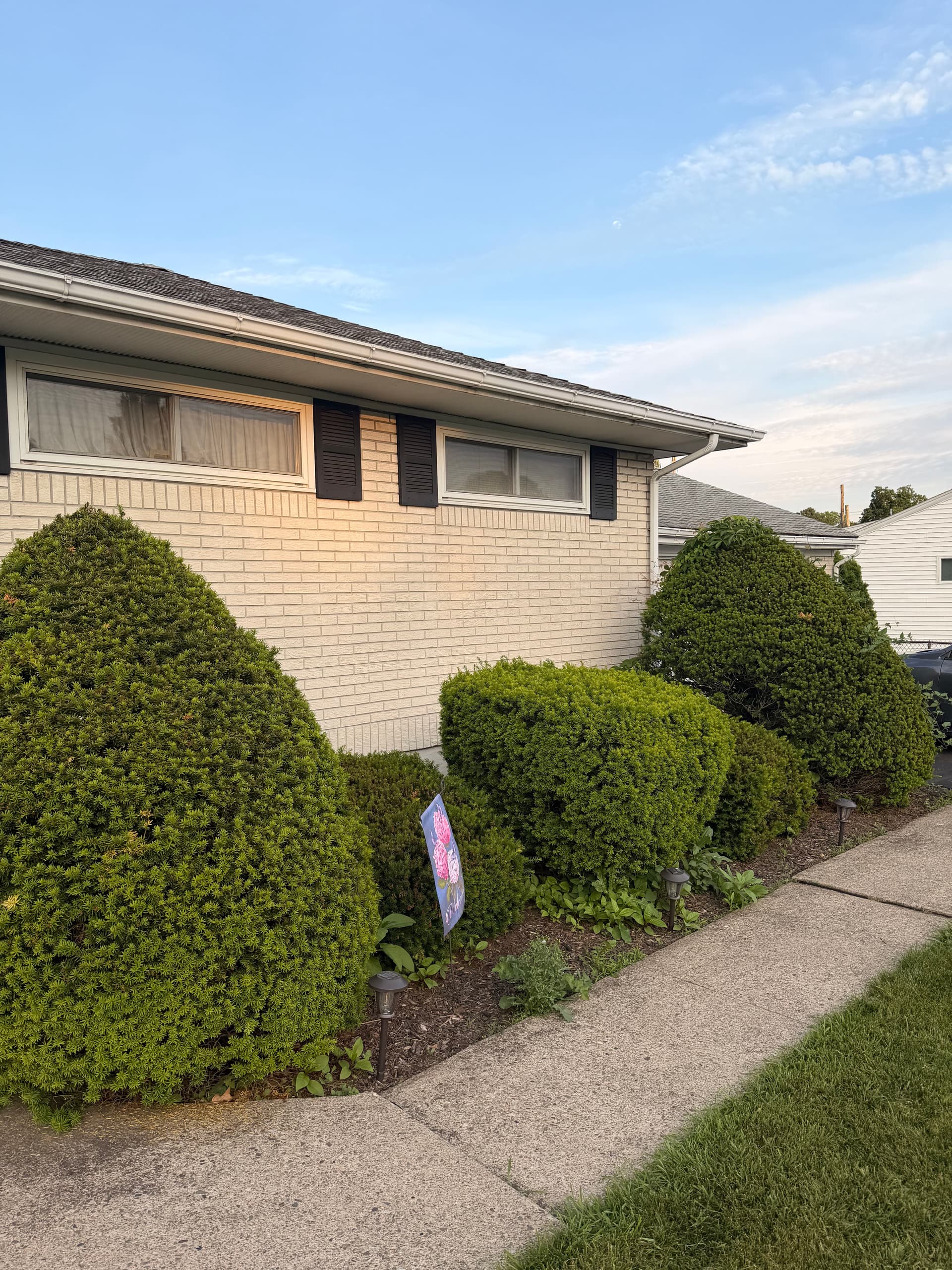 Gallery photos for Overgrown Shrubs Out, Low-Maintenance Planting Design In - Bethlehem PA: Image #5