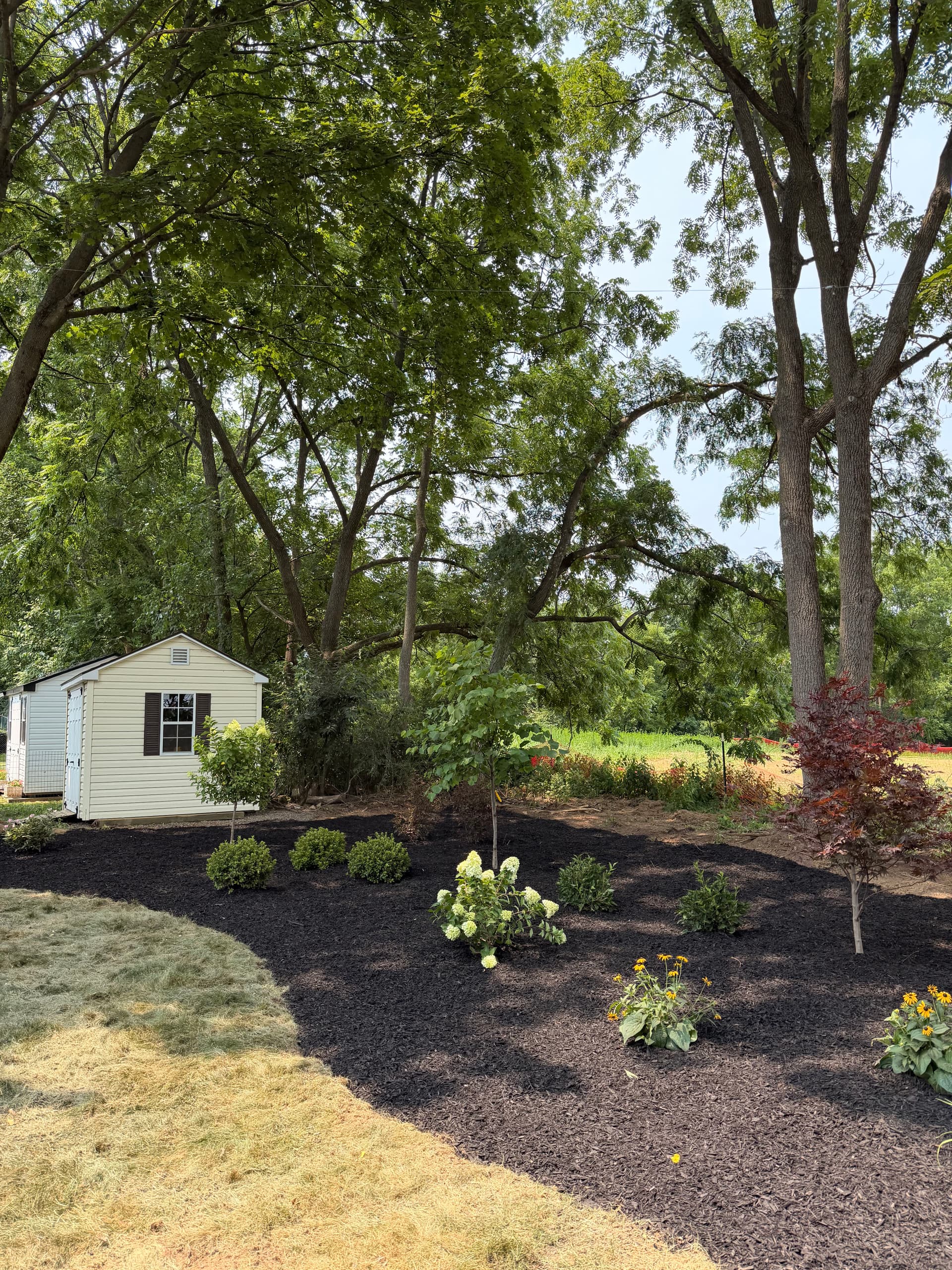 Gallery photos for Overgrown Tree Line Gets a Garden Makeover in Bethlehem: Image #4