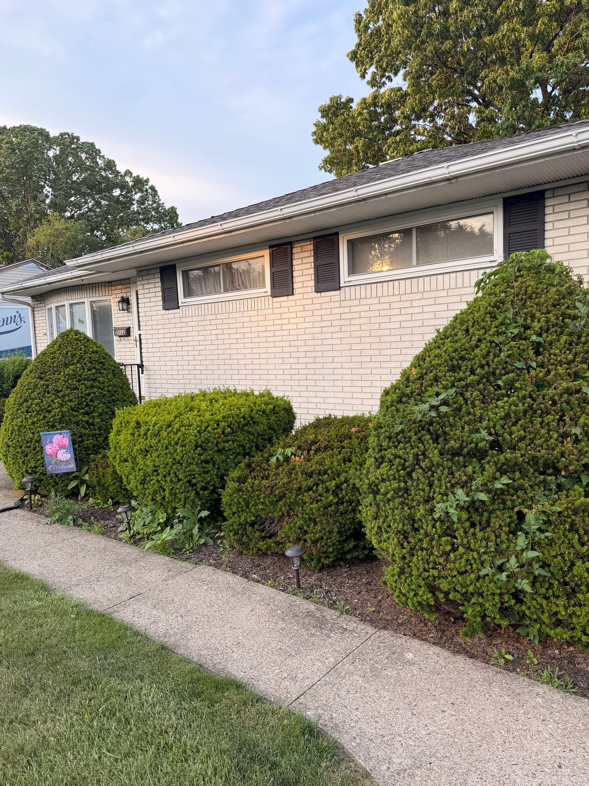 Gallery photos for Overgrown Shrubs Out, Low-Maintenance Planting Design In - Bethlehem PA: Image #4