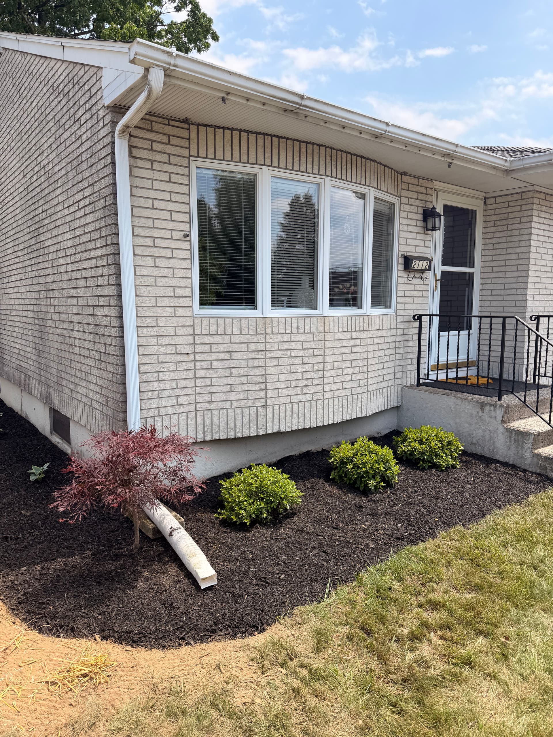 Gallery photos for Overgrown Shrubs Out, Low-Maintenance Planting Design In - Bethlehem PA: Image #1