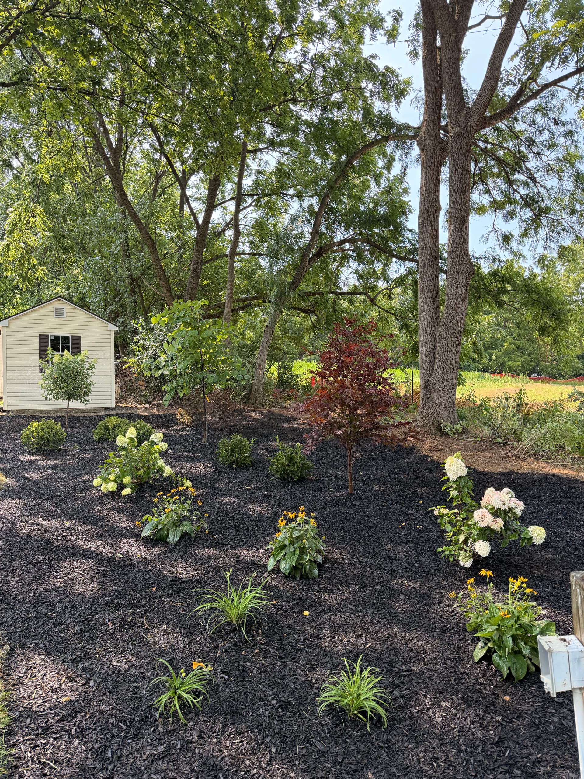 Gallery photos for Overgrown Tree Line Gets a Garden Makeover in Bethlehem: Image #1
