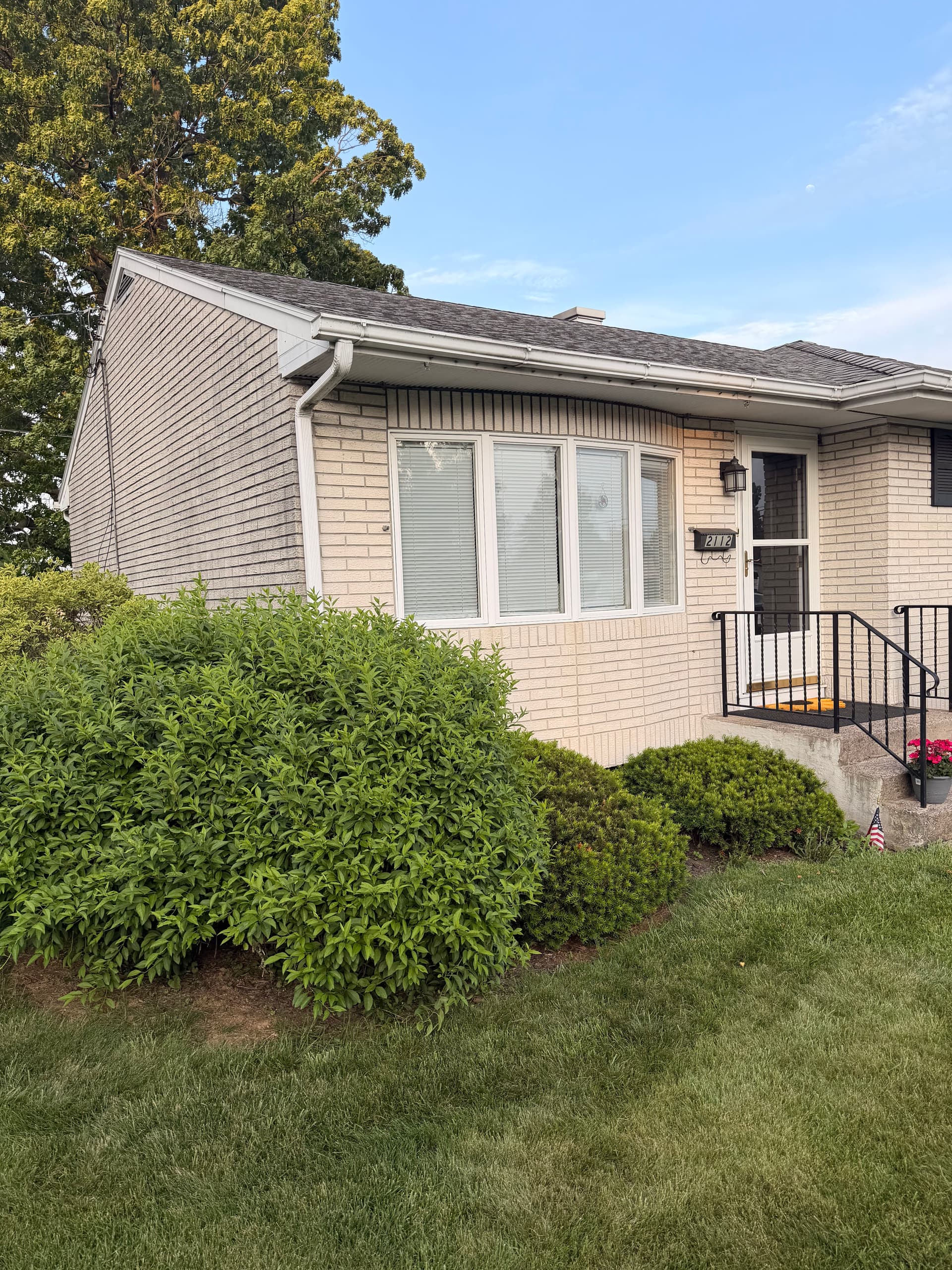 Gallery photos for Overgrown Shrubs Out, Low-Maintenance Planting Design In - Bethlehem PA: Image #6
