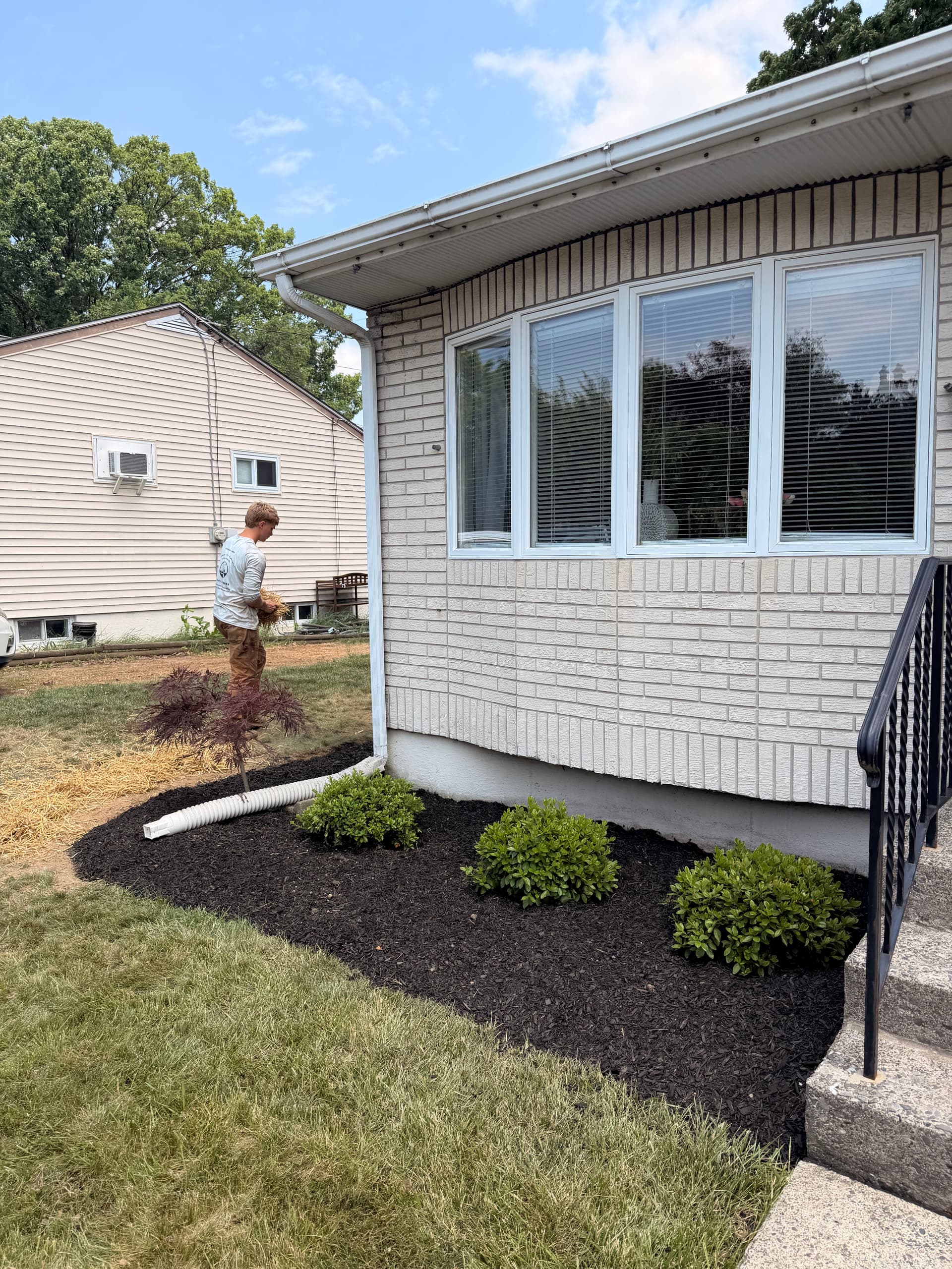 Gallery photos for Overgrown Shrubs Out, Low-Maintenance Planting Design In - Bethlehem PA: Image #2